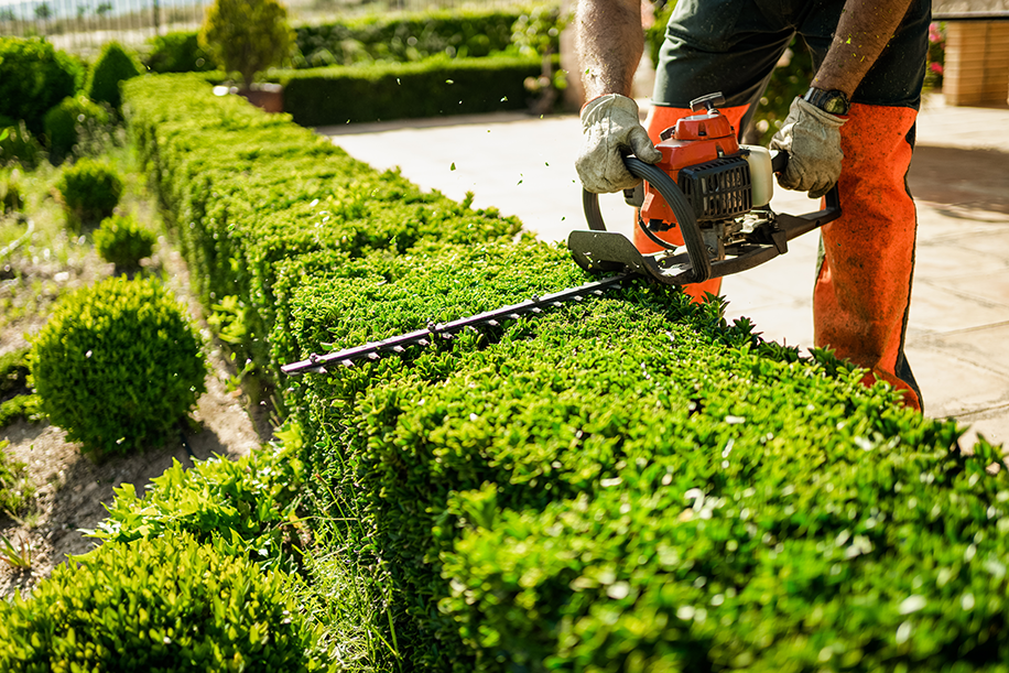 création de jardin à Sorgues