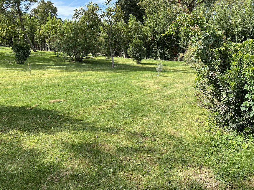 terrain