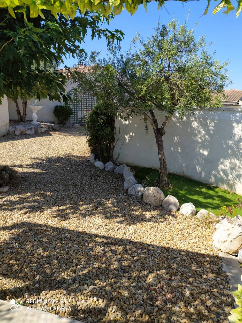petit jardinet