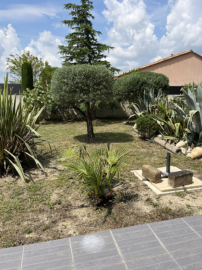 petits arbres