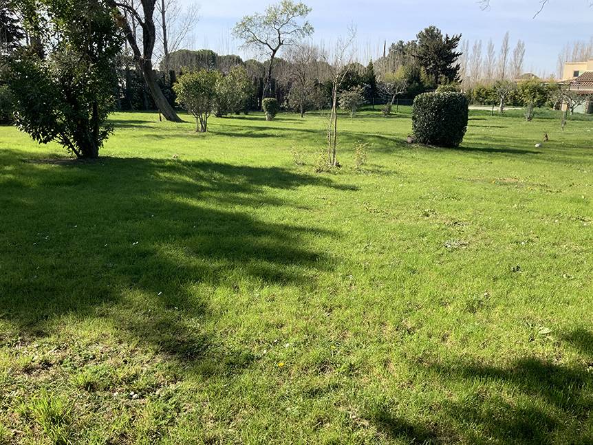 jardin tondu